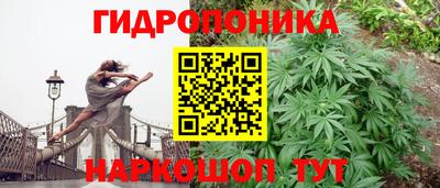 2c-b Гуково