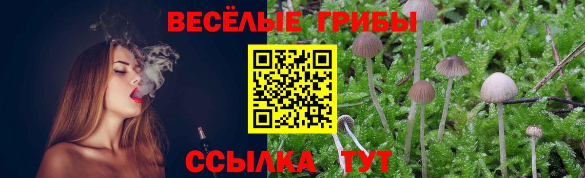 Псилоцибиновые грибы Psilocybine cubensis Калач-на-Дону